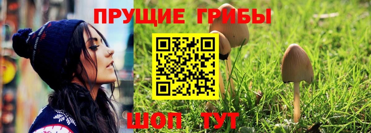 Кропоткин  Галлюциногенные грибы прущие грибы  Псилоцибиновые грибы MAGIC MUSHROOMS  Вход с VPN 