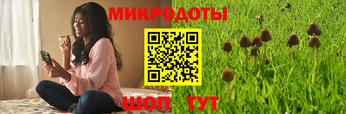 Псилоцибиновые грибы Magic Shrooms Кропоткин